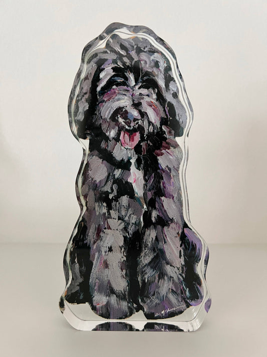"Golden Doodle Chocolate Shaggy"  Acrylic Shelfie Small