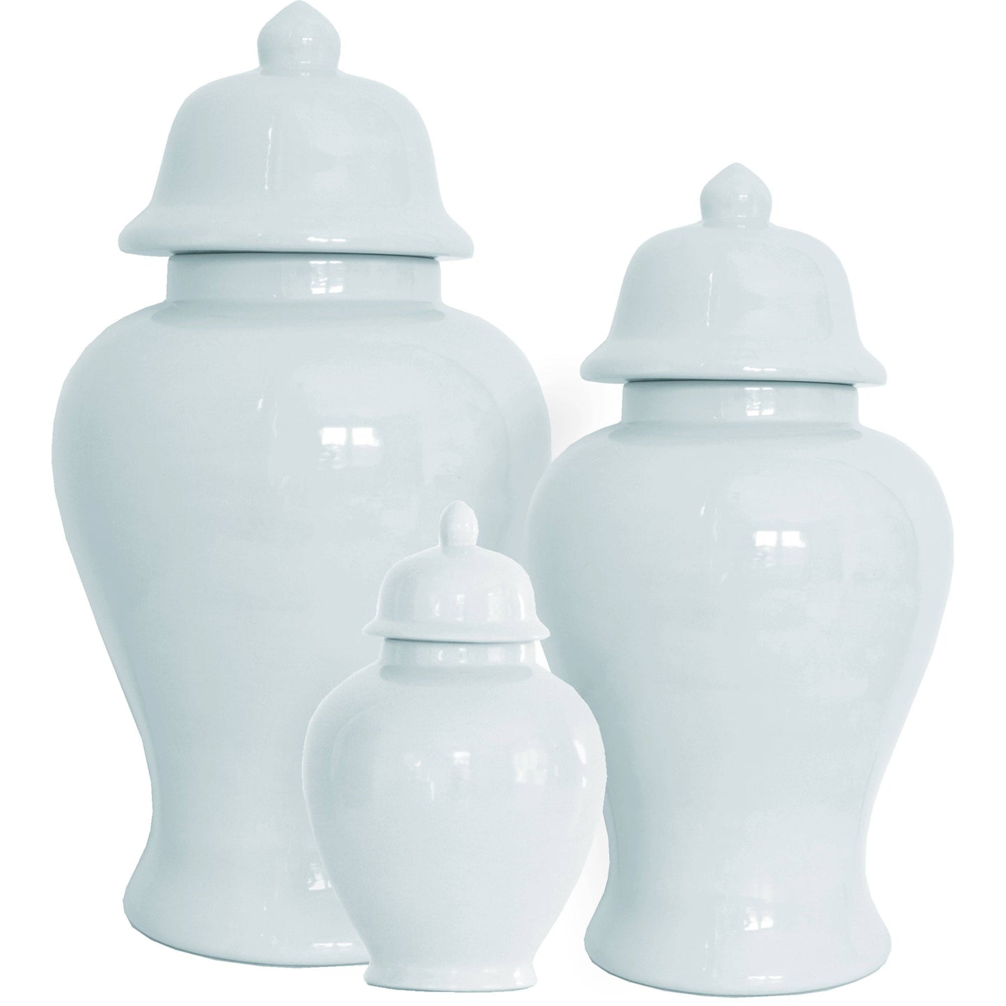 Hydrangea Light Blue Ginger Jar | Medium